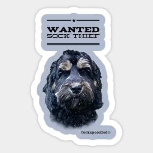 Cockapoo / Doodle Dog Sock Thief Sticker